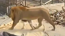 كيف تتصرف لو كنت مكانه