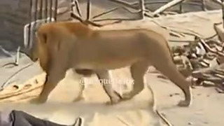 كيف تتصرف لو كنت مكانه
