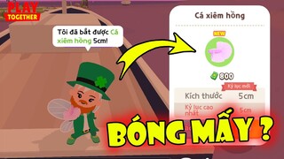 Cách Săn "Cá Xiêm Hồng" Mới, Địa Điểm + Bóng Mấy ? + Thời Gian Câu Dính 100% | Play Together