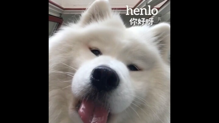 咦 你怎么不开心鸭？
