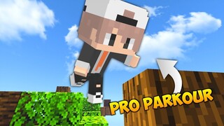 AKHIRNYA GW BISA PRO PARKOUR DI MINECRAFT - MAININ MAP BUATAN SUBSCRIBERS!