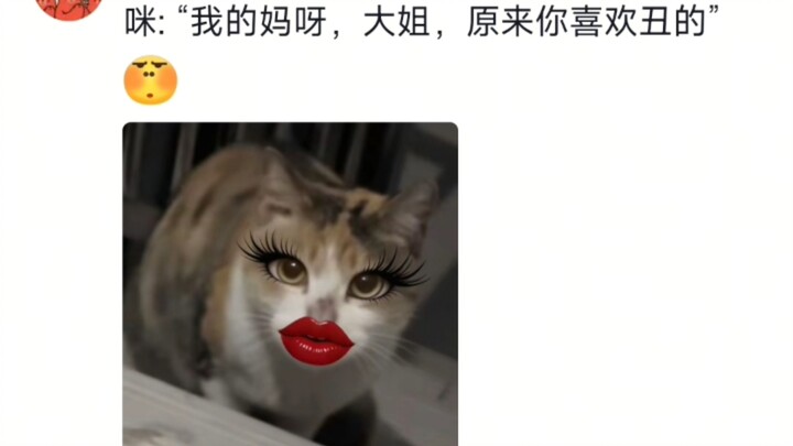 In Mi’s eyes, there was self-doubt, envy, and disappointment all at once.