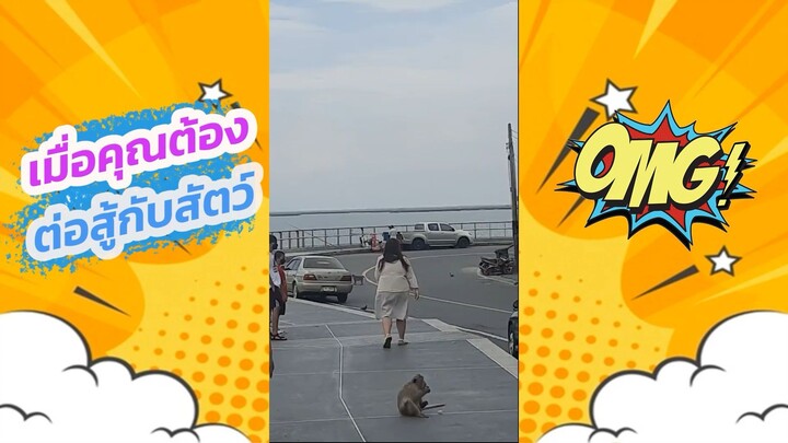 เมื่อคุณต้องสู้กับสัตว์