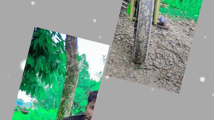 শরির 🥰 sds sorif vai#sddsorif 🥰🥰🥰🥰