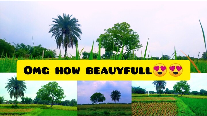 so much beautiful Bangladesh village view 😍😍😍