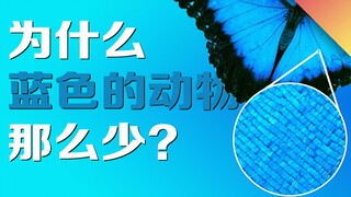เกร็ดความรู้แปลกๆ มุมมองสุดแหวกแนว: ทำไมสัตว์สีน้ำเงินถึงมีน้อยจัง?