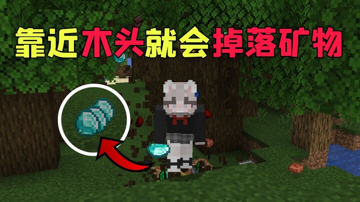 [Minecraft] Mendekati kayu akan membuat bijih jatuh!