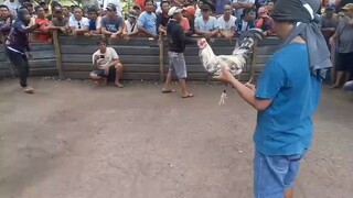 bunguton and tapinoang malakas