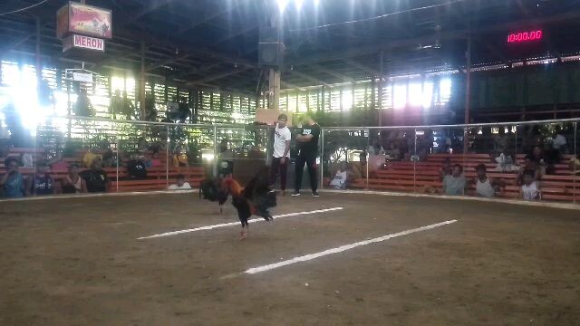 mantis bonecrusher 2nd win
