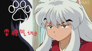 [InuYasha] Aku, InuYasha, akan terlibat dalam segala hal yang dilakukan Higurashi Kagome!