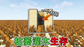 كيف تنجو في عالم يضم قرية واحدة فقط وكل ما فيه شجيرات ذابلة؟ ماينكرافت