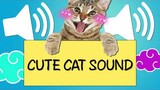 Cute Cat Sound Effect / Tiếng Mèo Kêu Dễ Thương Meo Meo Meo