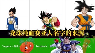 龙珠中所有纯血赛亚人的名字来源，这根本就是蔬菜军团呀。