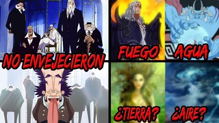 El GOROSEI Posee la JUVENTUD ETERNA? | Existen Razas que Dominan la TIERRA y el AIRE en One Piece?