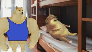 Một khi bạn học nó, bạn được coi là một bậc thầy!