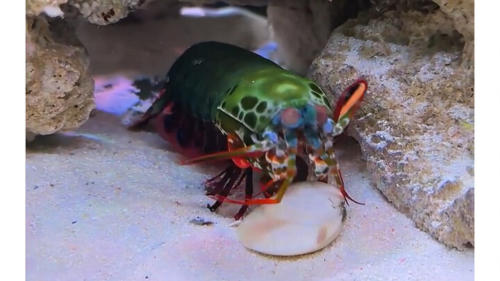 Kepalaku berdengung kencang.