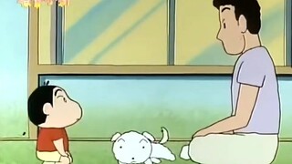 小白不是宠物，是家人
