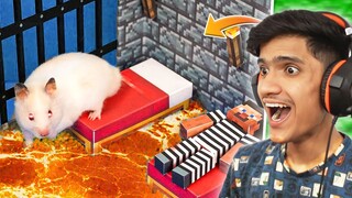 Hamster Real Life MINECRAFT PRISON MAZE In Hindi