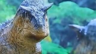 差点被纪录片里面的恐龙笑死， 恐龙的小手手太可爱了