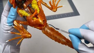 Tôi đã làm một con rồng có râu bằng đường trắng. Những con cá đánh bắt ở ngoài không ngon bằng những