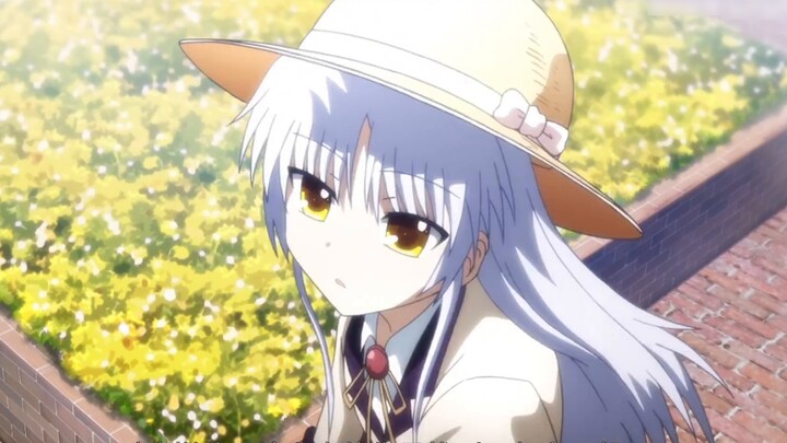 Listening to the ups and downs of the animation section of Bilibili, I witnessed an era (commemorati