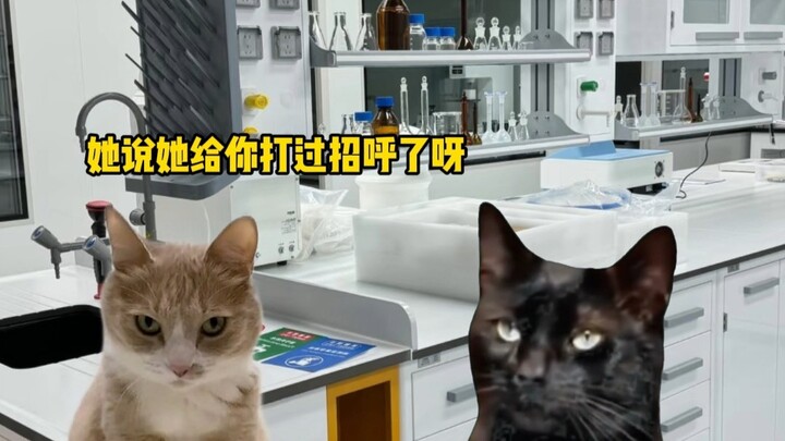 "Connections" in the Lab