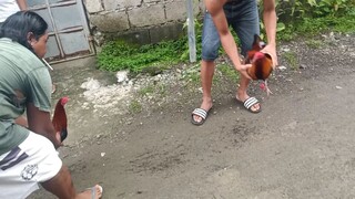 (WPC) sparing ka muna kahit mahina katawan (nagpapalahi pa)