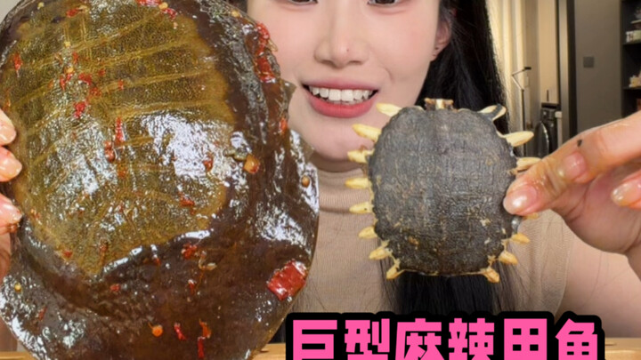 เต่าจีน: บอกแม่หน่อยว่าคืนนี้ฉันไม่กลับบ้านแล้วนะ