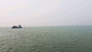 relaxing view of padma river | padma river in morning #mythicalrider #padma