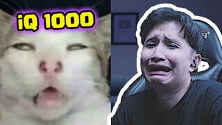 Meme Membuat Lulus Kuliah