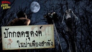 กฎแห่งความหลอน กฎของการปักกลดธุดงค์ในป่าเพียงลำพัง