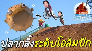 ปลาน้อยสู้ชีวิต กลิ้งโคตรหงุดหงิดชีวิตอนาถใจ 😡🤬