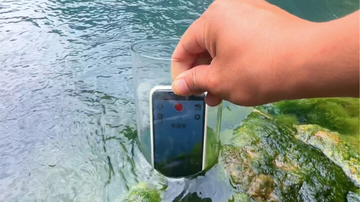 How to Shoot Clear Underwater Photography