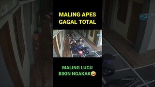 Maling Motor Apes Dan Gagak Total #malingmotor2023