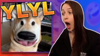 Try Not To Laugh CHALLENGE ~ #11