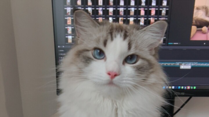 ถ้าเธอไม่มีความสุข ก็มาลูบฉันหน่อยสิ