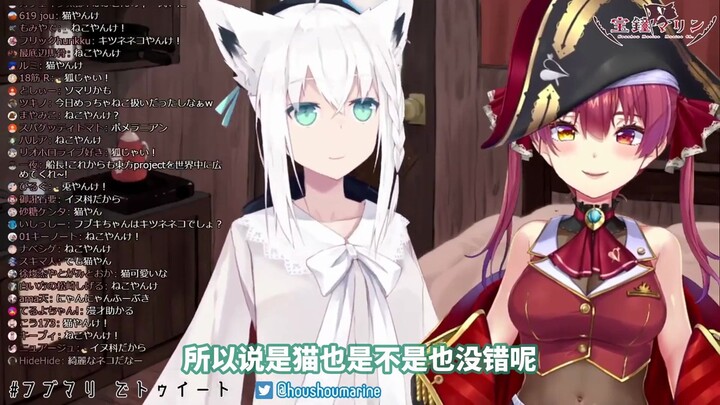 【熟肉】开始逐渐承认自己是猫的白上吹雪【白上フブキ】【宝鐘マリン】