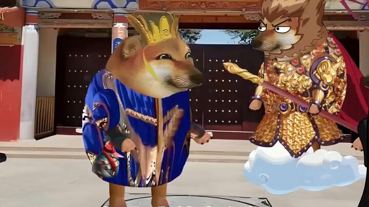 Huang Mei Da Wang: Wu Tian, you are my idol