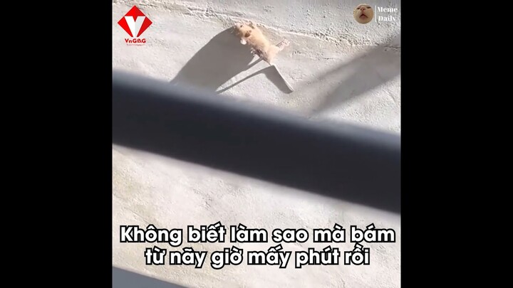 Số phận nghiệt ngã quá =))