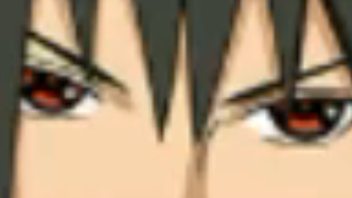 Chó lớn dạy dạy dạy