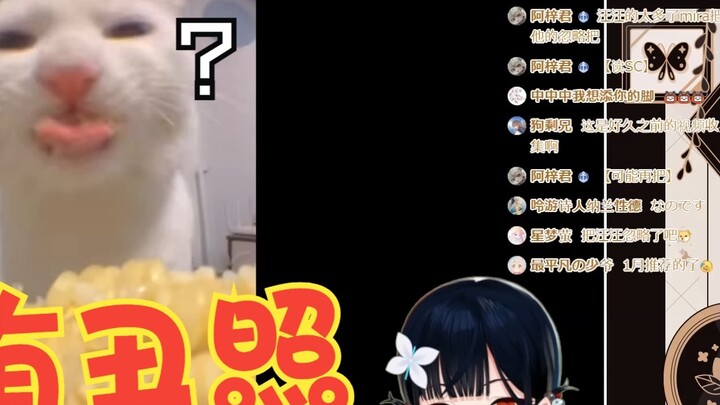 [Bilibili VUP] Japanese corpse-carrying master sees such a cute cat, there must be no ugly photos [E