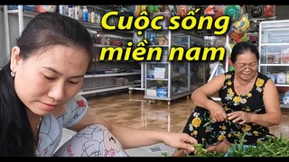 Chuẩn bị bữa cơm chiều sau trận mưa lớn - Nam Việt 274