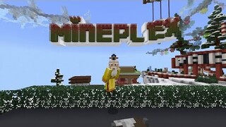 Minecraft / The Mineplex Server