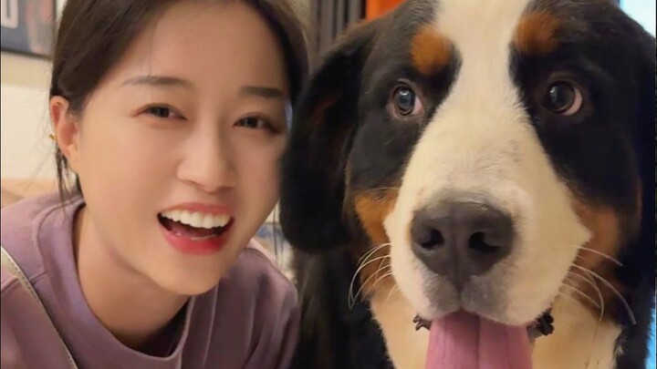 遛100斤的“烈性犬”，进门汗都吓出来了...