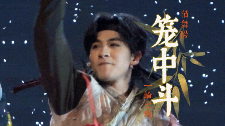 【毛二】一口气看完七段返场健身操直拍 | 锦衣卫猫舞阳一轮返场舞《笼中斗》合集归档