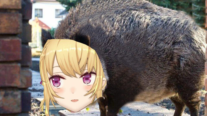 Genshin Impact|Kreativitas Lucu