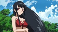 Akame ga Kill! - 15 Sub Indo