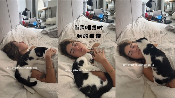 ตอนที่ฉันหลับ แมวของฉันก็เป็นประมาณนี้