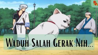 Gintama || Waduh Salah Gerak Nih... ❗❗❗