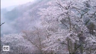[MINUS ONE] Sakura Sakura (Traditional Japanese Melody and lyrics)